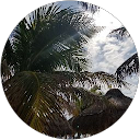 Ana Gomez profile picture