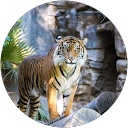 Dipesh Bhudia profile picture