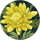 Disha Asodiya profile picture