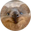 Madison Clark profile picture